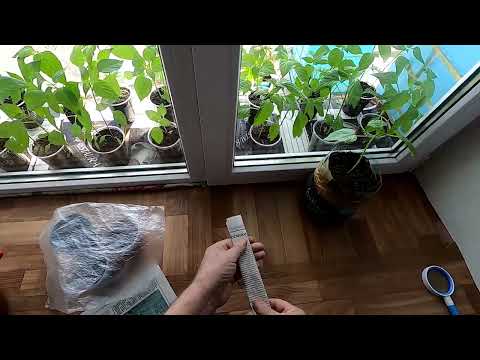 Видео: Как я устраняю перелив рассады