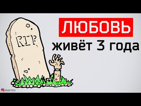 Видео: Любовь живет три года. История отношений
