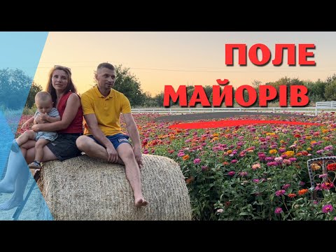Видео: Фотозона з майорів