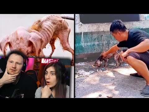Видео: 35 Добрых Поступков, Которые Вернут Вам Веру в Человечество | РЕАКЦИЯ на Мастерскую Настроения