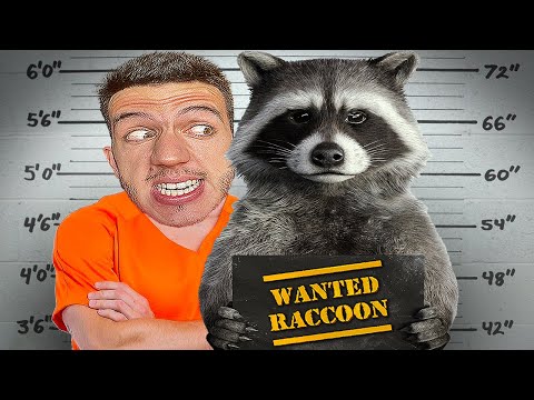 Видео: СТАВАМ ЕНОТ-ПРЕСТЪПНИК ЗА 1 ДЕН | WANTED RACCOON | ЕПИЗОД 1