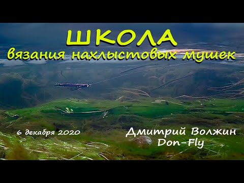 Видео: Школа вязания мушек 06.12.20. Судаче-окуневый стример