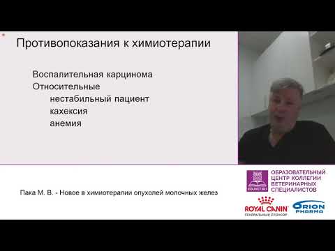 Видео: Марк Пака. Новое в химиотерапии молочных желёз