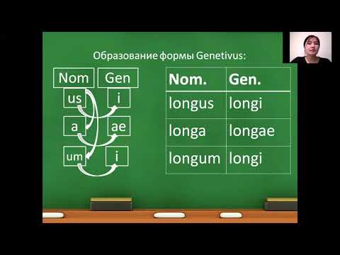 Видео: согласование прилагательного с существительным
