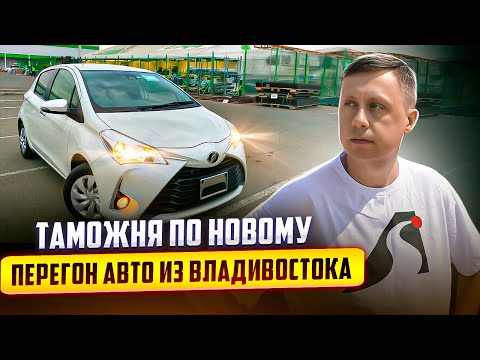 Видео: Таможня по новому / Перегон авто из Владивостока