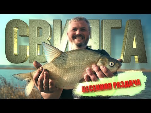 Видео: ПЕРЕПЛЫЛИ НА ОСТРОВ, А ТУТ СТОЛЬКО РЫБЫ! ВЕСЕННИЙ КЛЕВ НА СВИЯГЕ