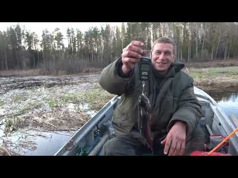 Видео: часть 2 рыбалка подьем по реке на лодке казанка под мотором ямаха 15