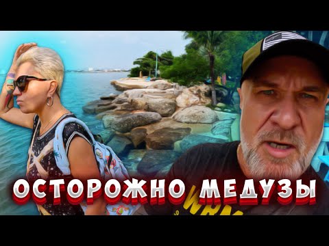 Видео: ТАЙЛАНД/ АТАКА МЕДУЗ В ПАТТАЙЕ/ САМЫЙ ДЕШЕВЫЙ ФУД-КОРТ В ГОРОДЕ/ОБЕД ВСЕГО 100 руб/ ЦЕНЫ