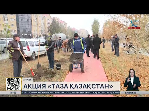 Видео: Около 100 саженцев тополя высадили в Актобе