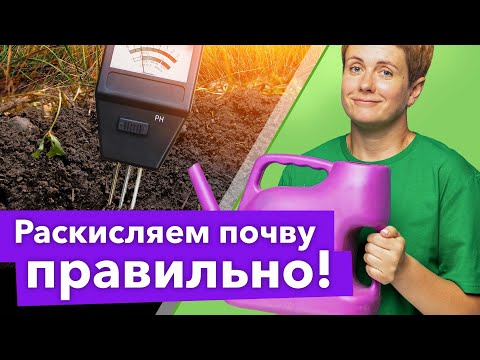 Видео: КИСЛАЯ ПОЧВА СТАНЕТ ПЛОДОРОДНОЙ! Вот чем и как раскислить почву осенью и весной правильно