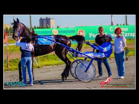 Видео: ЦМИ.Ипподром.Весёлый Роджер.Никогда.Часть-2.