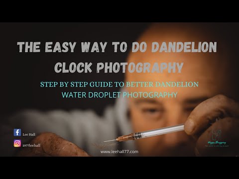 Видео: Как легко сфотографировать капли воды на одуванчике.