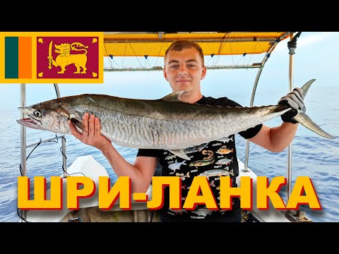 Видео: Рыбалка в Унаватуне. ШРИ-ЛАНКА. Поймали большую королевскую макрель