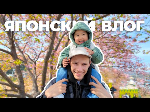 Видео: Кирилл и Сакура: Февраль 2024 🇯🇵