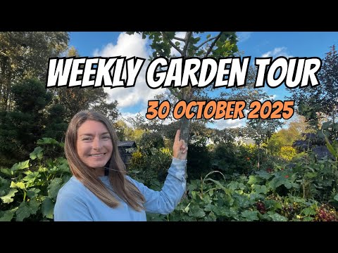 Видео: Еженедельный тур по саду: 30 октября 2025 г.