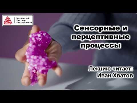 Видео: 01. Ощущение и восприятие - общая характеристика