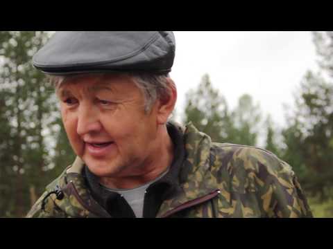 Видео: Экспедиция в Североуральск: место наблюдения "Светового Агрегата"