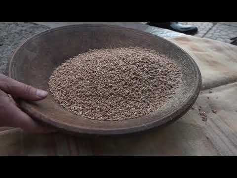 Видео: 9 ДААМ КОШУЛГАН ТАМАК I КӨЖӨ ЖАСОО