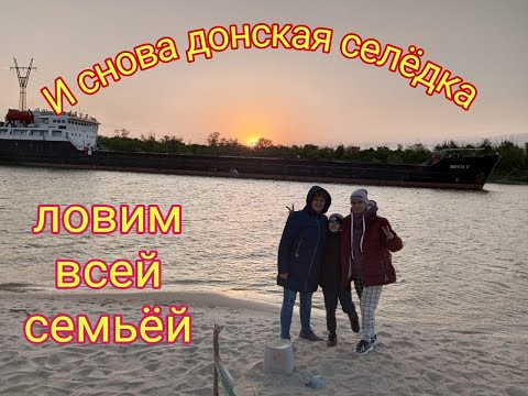 Видео: Рыбалка на Дону с семьёй.  Снова ловим селёдку, ну и просто отдыхаем...