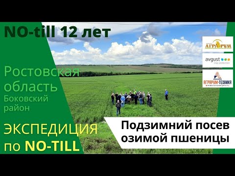 Видео: Экспедиция NO-till 2021: Подзимний посев озимой пшеницы. Вылечили овраг