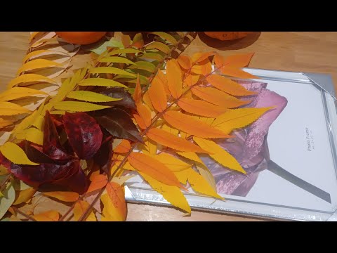 Видео: 🍂Получилось нереально красиво! Сама не ожидала 🍁 Beautiful Autumn Leaf Art | Simple DIY Home Decor 🍂