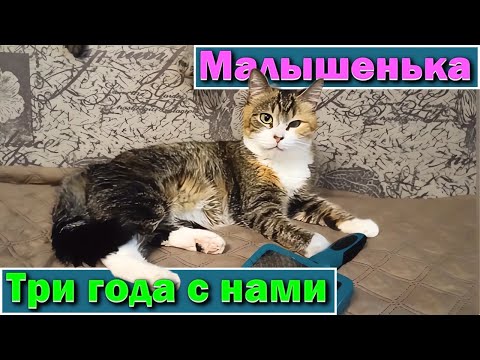 Видео: Малышенька. Три года с нами.