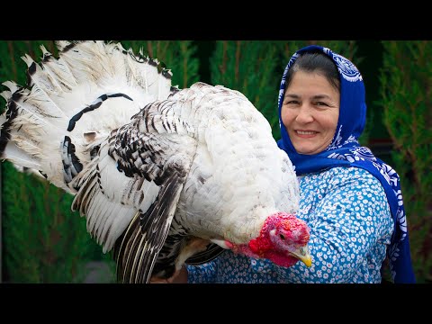 Видео: Бабушка приготовила вкуснейшее новогоднее блюдо: Секрет приготовления индейки в тандыре