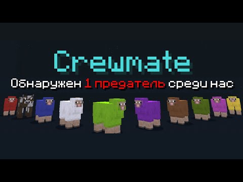 Видео: что в голове у подписчика?