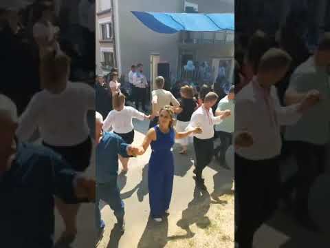 Видео: БОЙКО ИВАНОВ-РОДОПСКА КИТКА