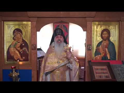 Видео: Как сократить население.