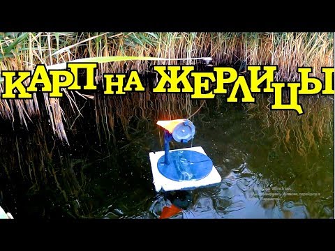 Видео: ЛОВЛЯ КАРПА на ЗИМНИЕ ЖЕРЛИЦЫ с ЛОДКИ