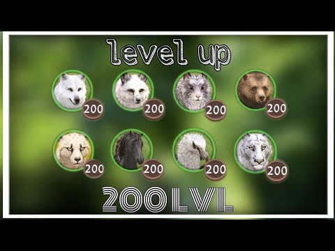 Видео: 🍀Прокачка зверей до 200 LVL + получение ранга великий мастер в WildCraft (Не всех)