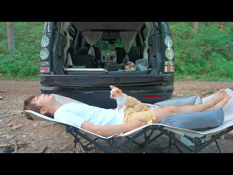 Видео: Автокемпинг с таким очаровательным щенком в прохладной долине, в тени.