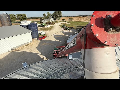 Видео: Наполняем закрома и молимся о лучших ценах на зерно!