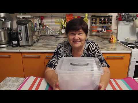 Видео: Ну, понеслось!!! Накупила семян к новому сезону! Обзор