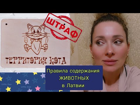 Видео: 12 ноября 2025 г.🧁Вкусняшки ,которые пробую впервые/🐱Правила содержания животных в Латвии #штрафы