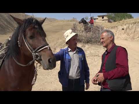 Видео: Киссахои мардуми кухистон. Човандози - дехаи Олучадара