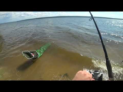 Видео: Рыбалка на леща на Сурском водохранилище