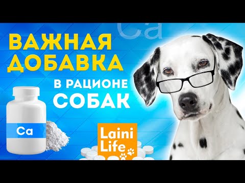 Видео: Кальций в рационе собак нужно ли давать?