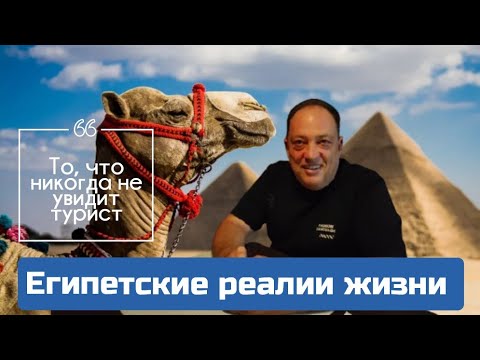 Видео: Египетские страсти, без масок. Реалии жизни. #египет #отношения #жизнь