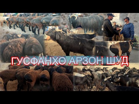 Видео: МОЛ БОЗОРИ НОХИЯИ ДУСТИ БОЗОРИ БАРАКАТ НАРХИ ГУСФАНХО