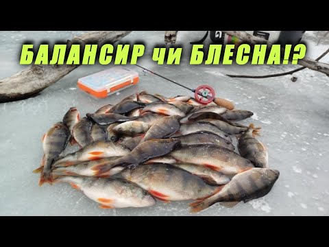 Видео: 💥РУСЛО чи ЗАТОКА⁉️ Шалений КЛЬОВ ОКУНЯ!🎯