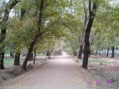 Видео: Мой маленький Джамбул.wmv