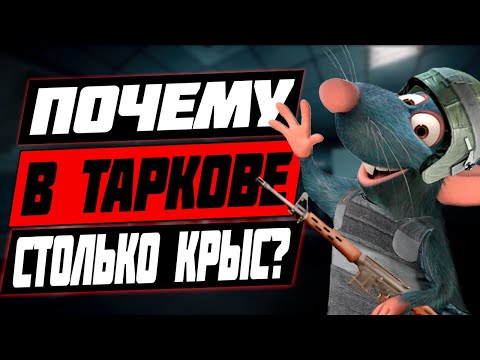 Видео: Как бороться с крысами в Таркове? Откуда их столько в Escape From Tarkov?
