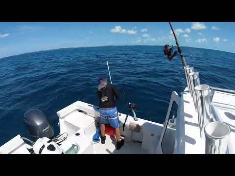 Видео: Одиночные дни в море. Плавание на небольшой 21-футовой лодке Crooked Pilothouse.