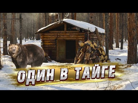 Видео: ОДИН В ТАЙГЕ! СУДЬБА ИЛИ РОК?