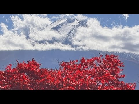 Видео: Наши друзья Таня и Нина путешествуют по Японии. Продолжение.