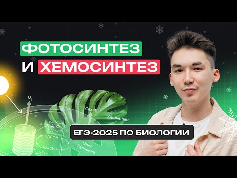 Видео: ВЕСЬ ФОТОСИНТЕЗ И ХЕМОСИНТЕЗ ДЛЯ ЕГЭ ПО БИОЛОГИИ | Зимняя школа | NeoFamily