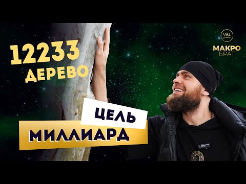 Видео: Посадил 12233 дерево. Цель Миллиард. МакроБрат задание