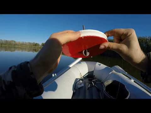 Видео: Рыбалка на кружки в ноябре